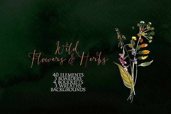 野花草本水彩套装 Wild Flowers & Herbs Watercolor Set插图(9)