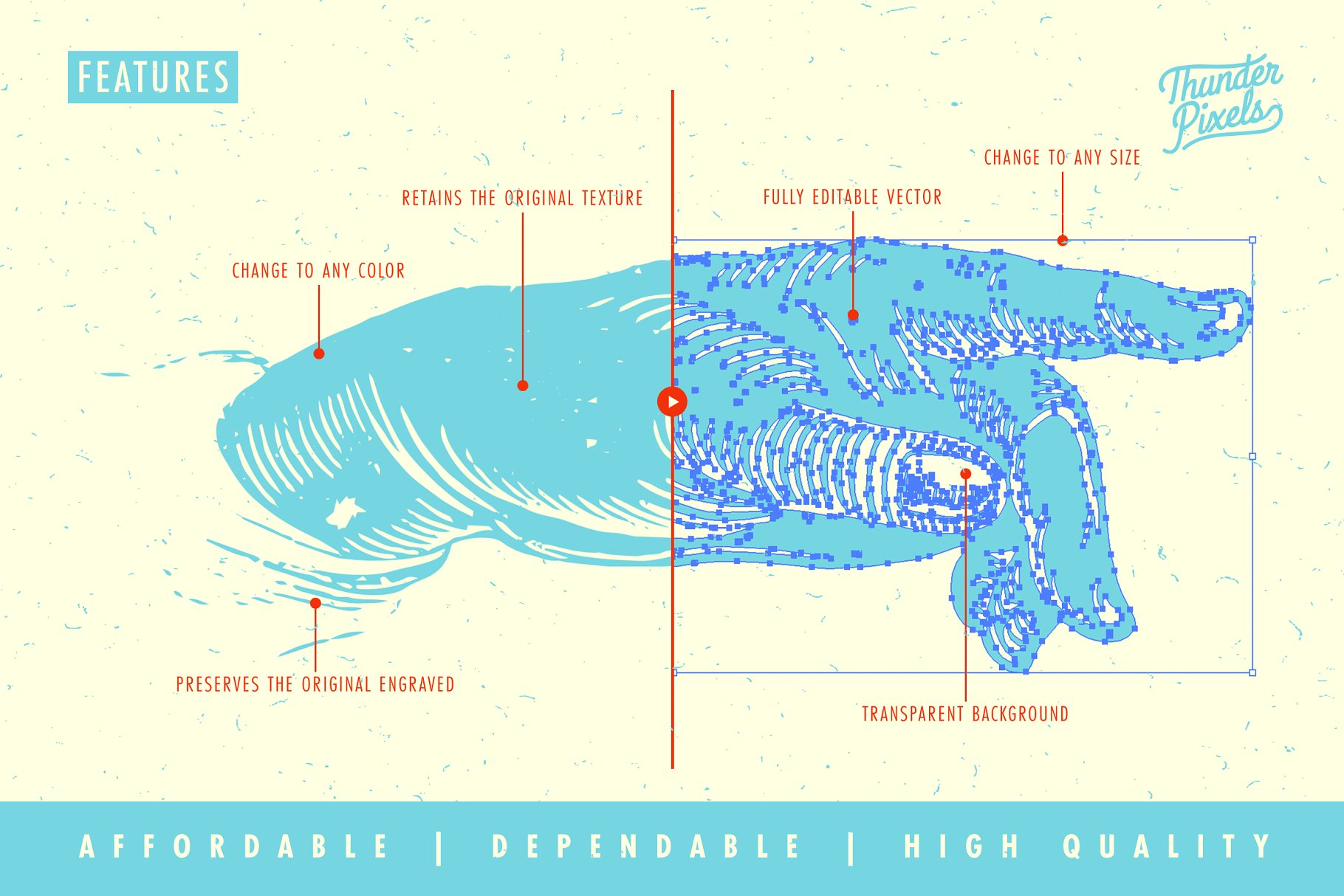 复刻维多利亚时代雕刻风格手势插画 Hand Pointers & Indexes – BRMV 01插图(1)