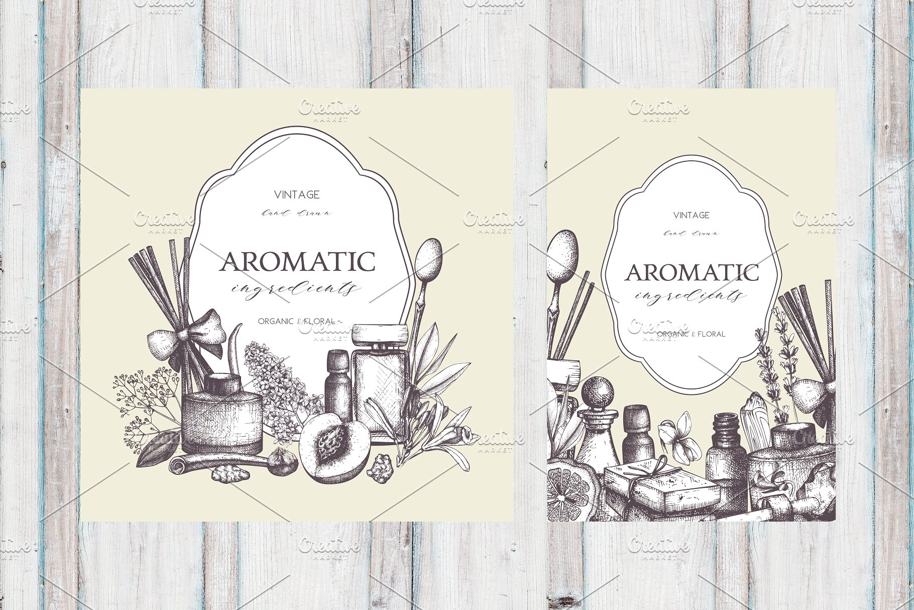 香料和化妆品成分水墨手绘插图集V.2 Perfumery & Cosmetic Ingredients v.2插图(6)