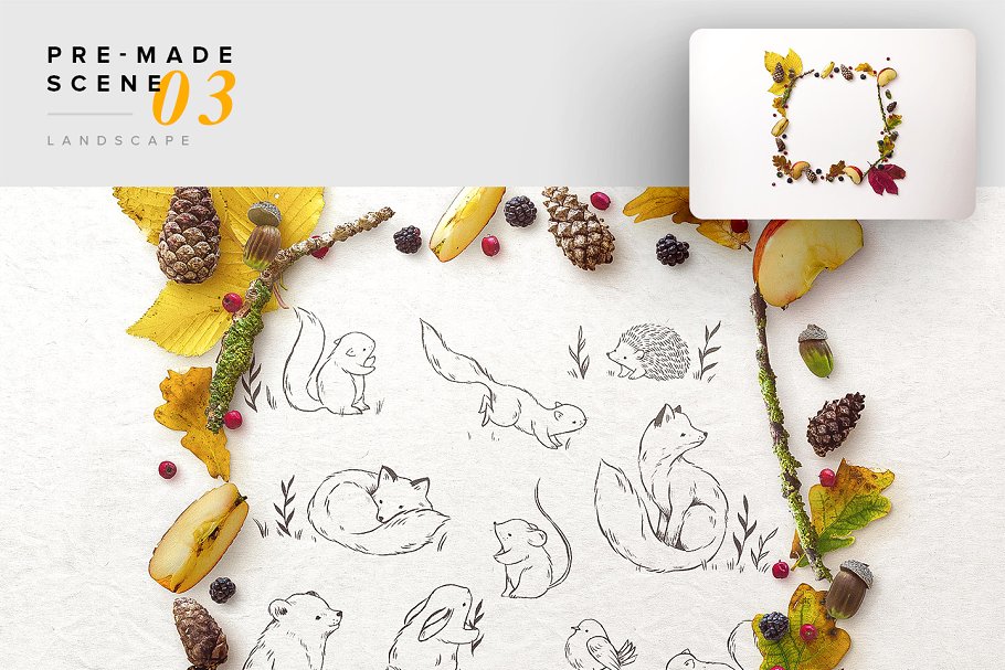 秋天主题场景样机设计素材包[2.39GB] Autumn Edition – Custom Scene插图(5)