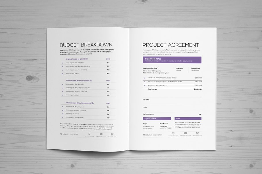 投标方案画册模板 Basic Proposal Template插图(6)