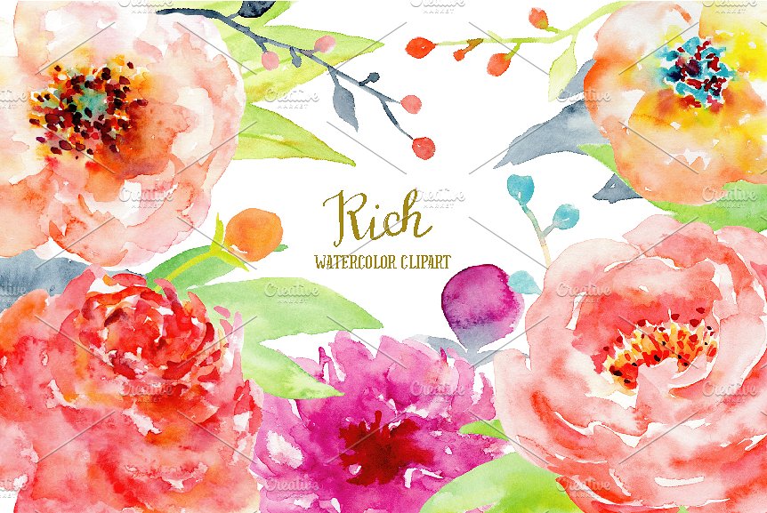 抽象彩色牡丹装饰元素水彩素材 Watercolor Peony Clipart Rich插图(1)