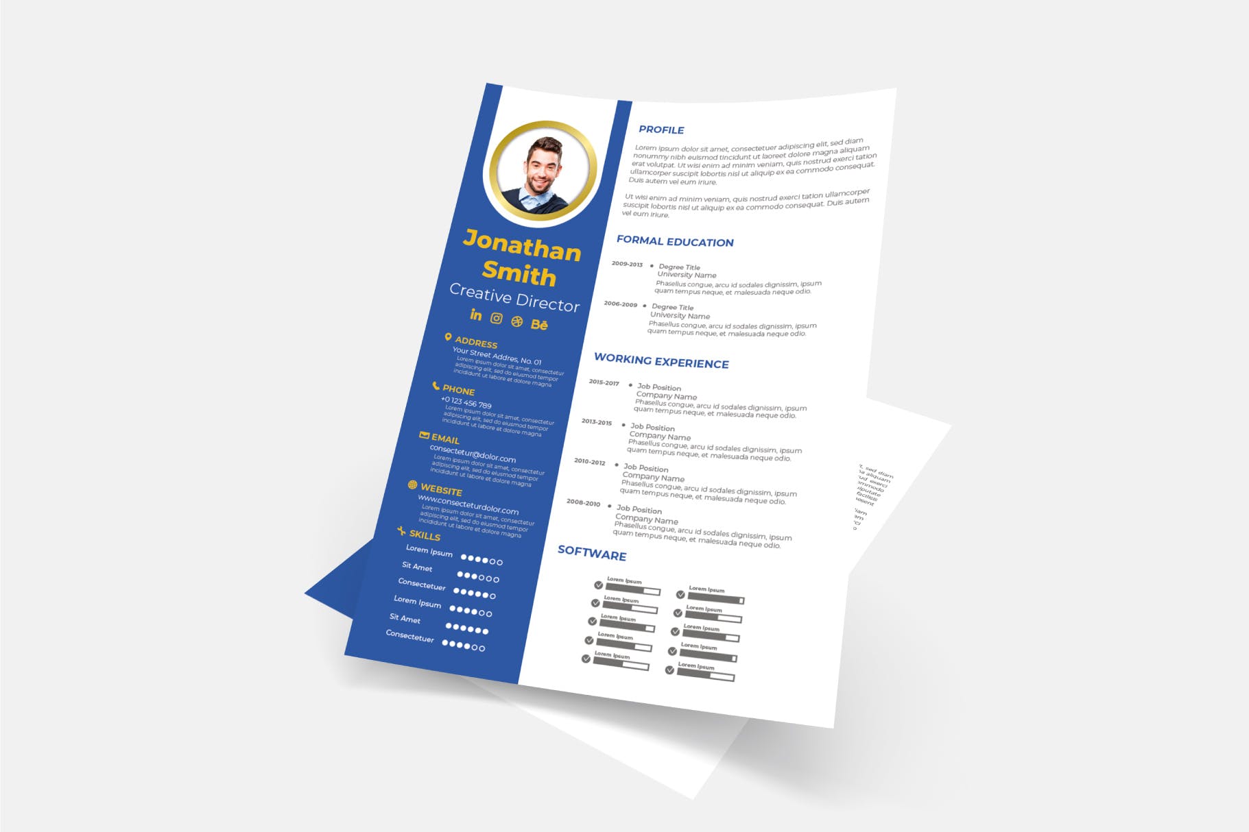 蓝白配色风格求职简历排版设计模板v14 Cv Resume Template.v14插图