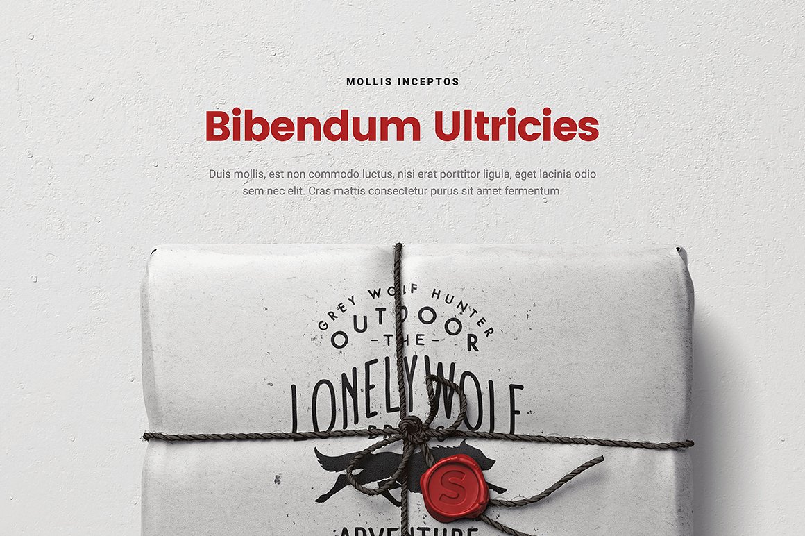 超级场景样机素材包 Scene Generator Mayolla插图(7)