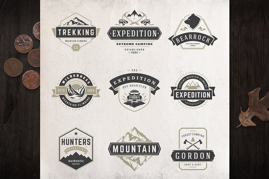 280个户外品牌Logo标志和徽章模板 280 Outdoor logos and badges插图(4)