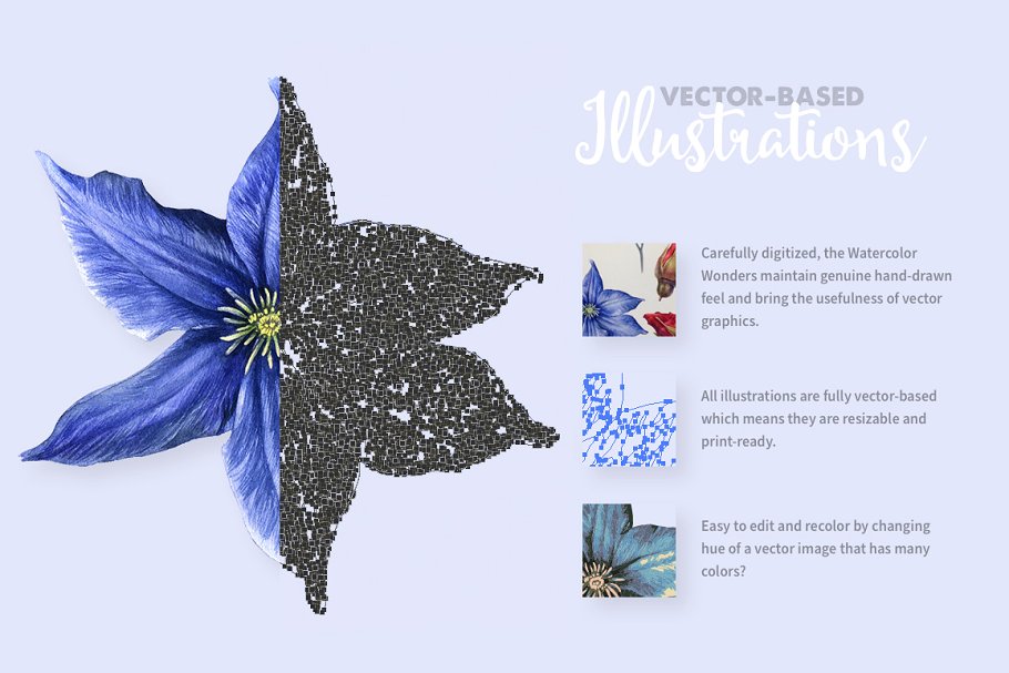 海洋花卉水彩剪贴画 Nautical Wonders Watercolor Kit插图(3)