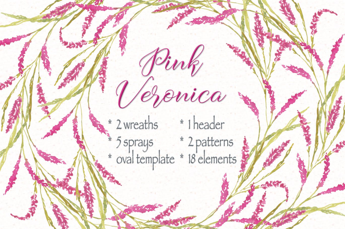 粉红维罗妮卡水彩花卉剪贴画套装 Pink Veronica Watercolor Clip Art Bundle插图