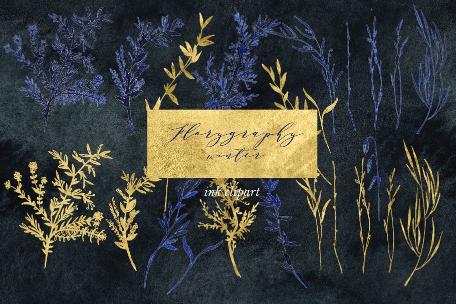 冬季植物志墨水剪贴画 Florygraphy winter. Ink clipart.插图(2)