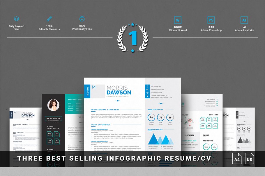 终极简历模板大合集（15款创意简历+3款信息图表模板） Entire Shop Resume/CV Mega Bundle插图(5)