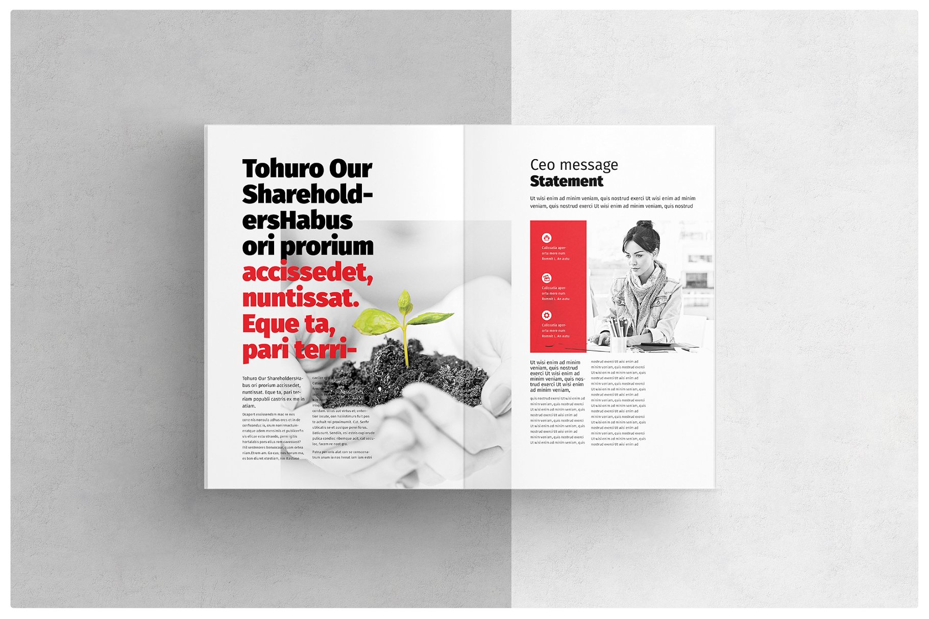 项目招标企业介绍宣传画册模板 Brochure插图(2)