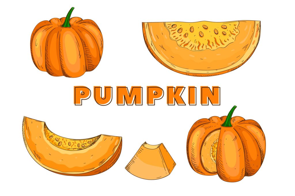 复古风格手绘矢量蔬菜素材打包下载[ai,psd,eps,png,jpg]插图(10)