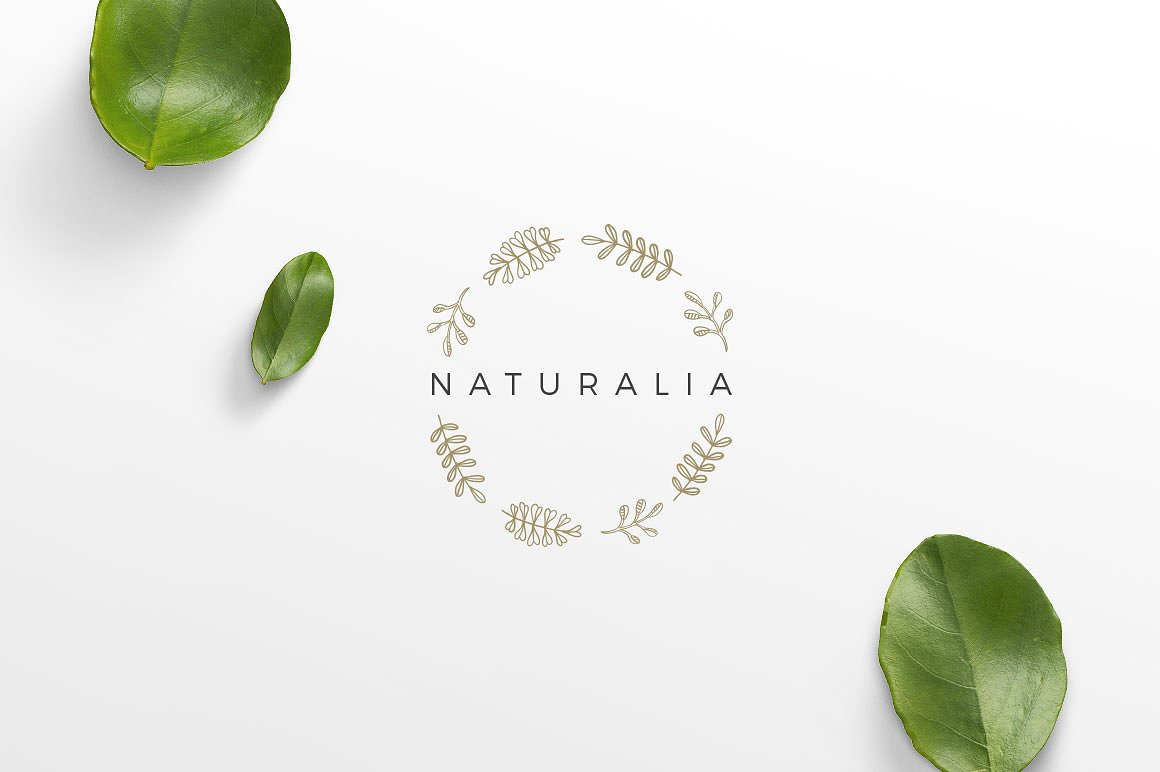 50款女性奢华品牌Logo模板 50 Feminine Luxury Logos插图(14)