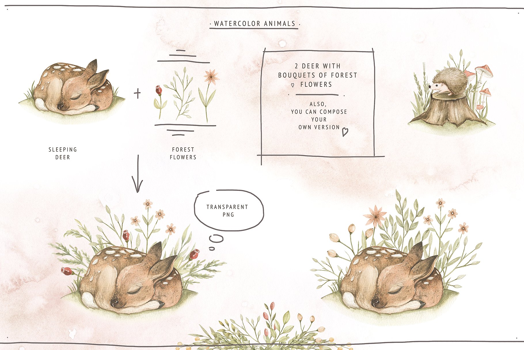 水彩森林动物宝贝水彩插画 Watercolor Forest Baby插图(2)