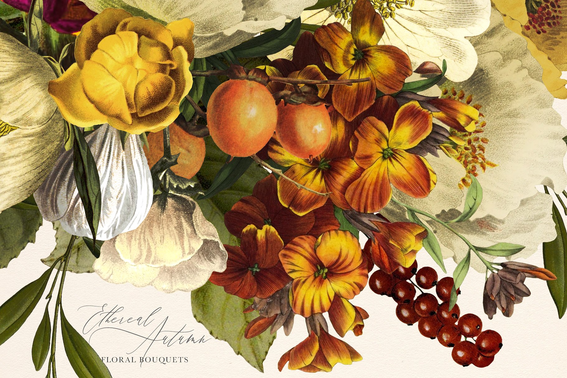 栩栩如生的秋天花束插画 Ethereal Autumn Floral Bouquets插图(10)