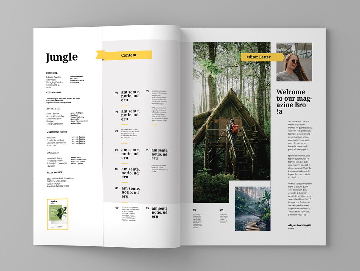旅游行业素材库精选杂志版式设计模板 Jungle – Magazine Template插图(2)
