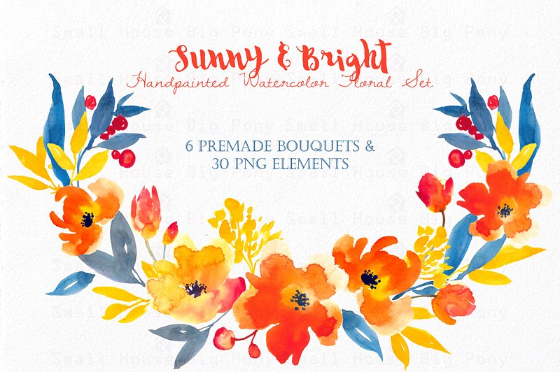 阳光明亮风格水彩花卉插画合集 Sunny & Bright- Watercolor Floral Se插图