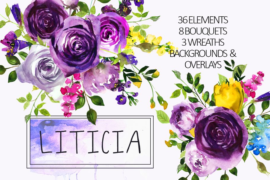 紫罗兰水彩剪贴画合集 Purple Violet Flowers Clipart Set插图