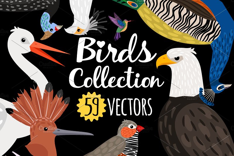 海量各种鸟手绘矢量素材 Big set of Different Birds插图