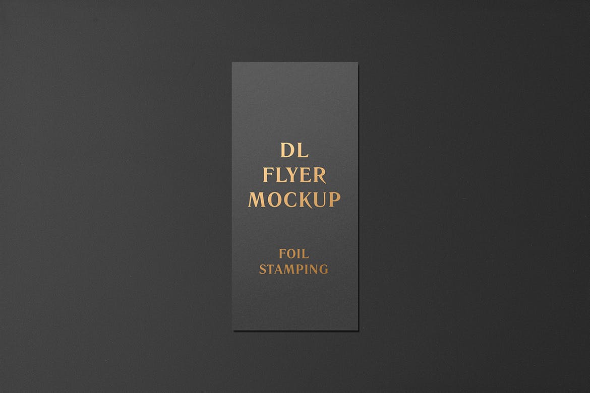 高端逼真质感得DL传单名片铝箔冲压特殊工艺VI样机展示模型mockups插图