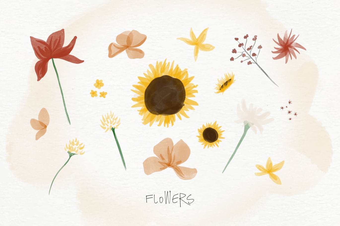 秋天主题水彩手绘图案设计素材包 Autumn Watercolor Kit插图(4)