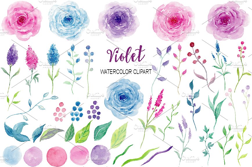 紫色水彩花卉剪辑收藏 Watercolor Clipart Violet Collection插图(1)