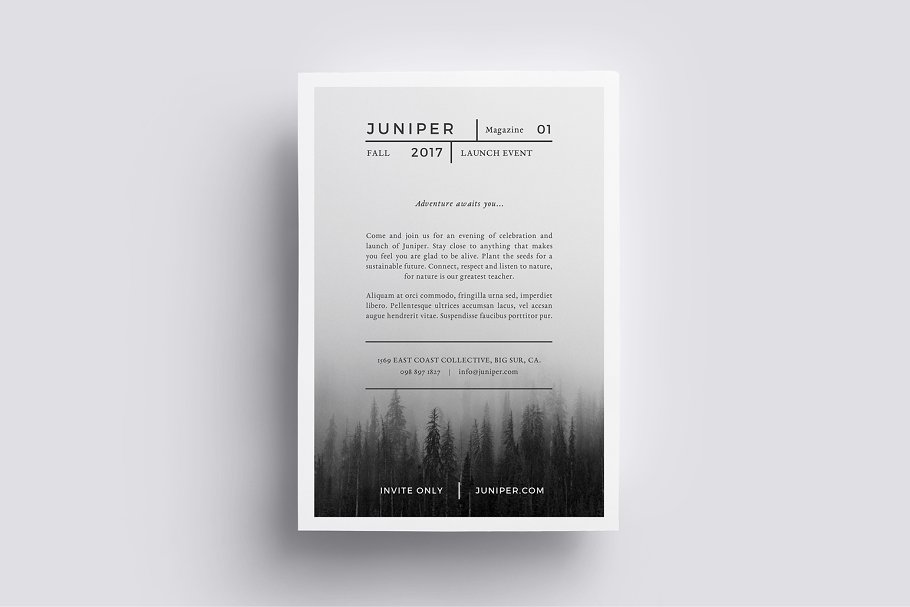 高端大雅设计风格海报传单PSD模板 J U N I P E R  Flyer Template插图(4)