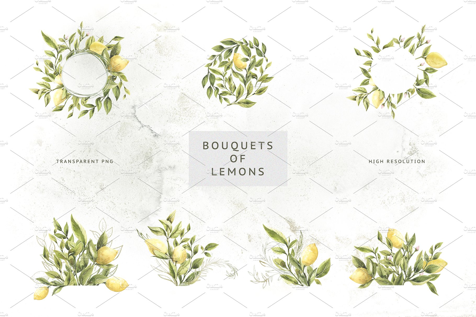 柠檬&绿色枝叶水彩插画 Lemons & Greens插图(3)