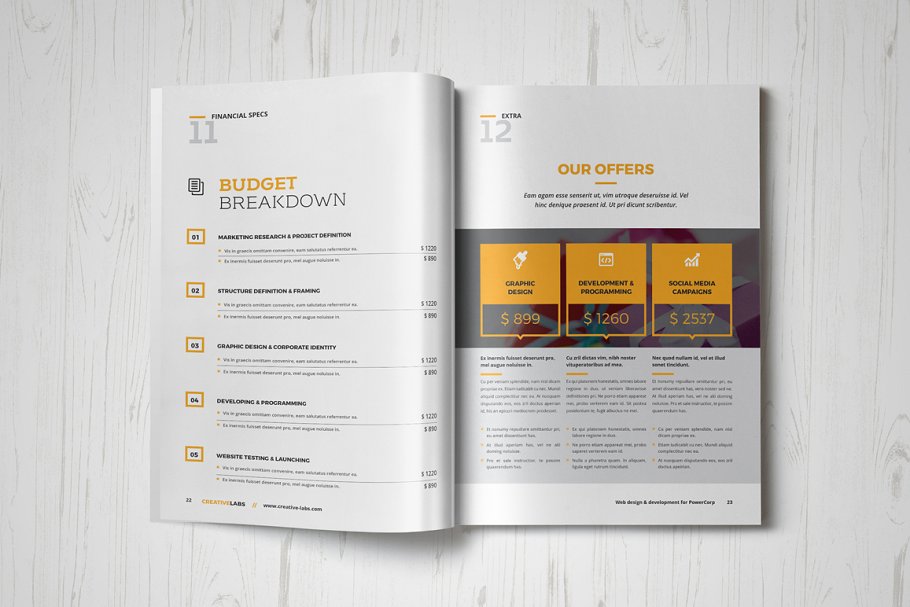 投标企业企宣画册模板 Proposal插图(12)