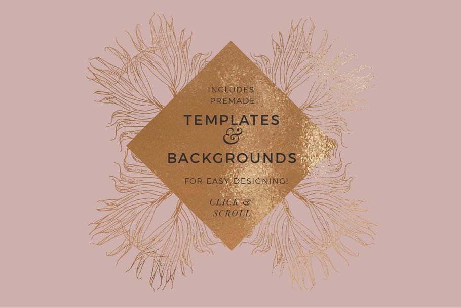 植物与几何图案纹理 Exotic Plants & Geometric Patterns插图(2)