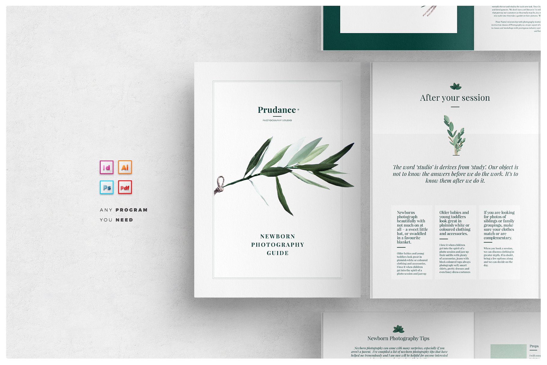 新生儿摄影育儿主题杂志模板 Newborn Photography Magazine插图