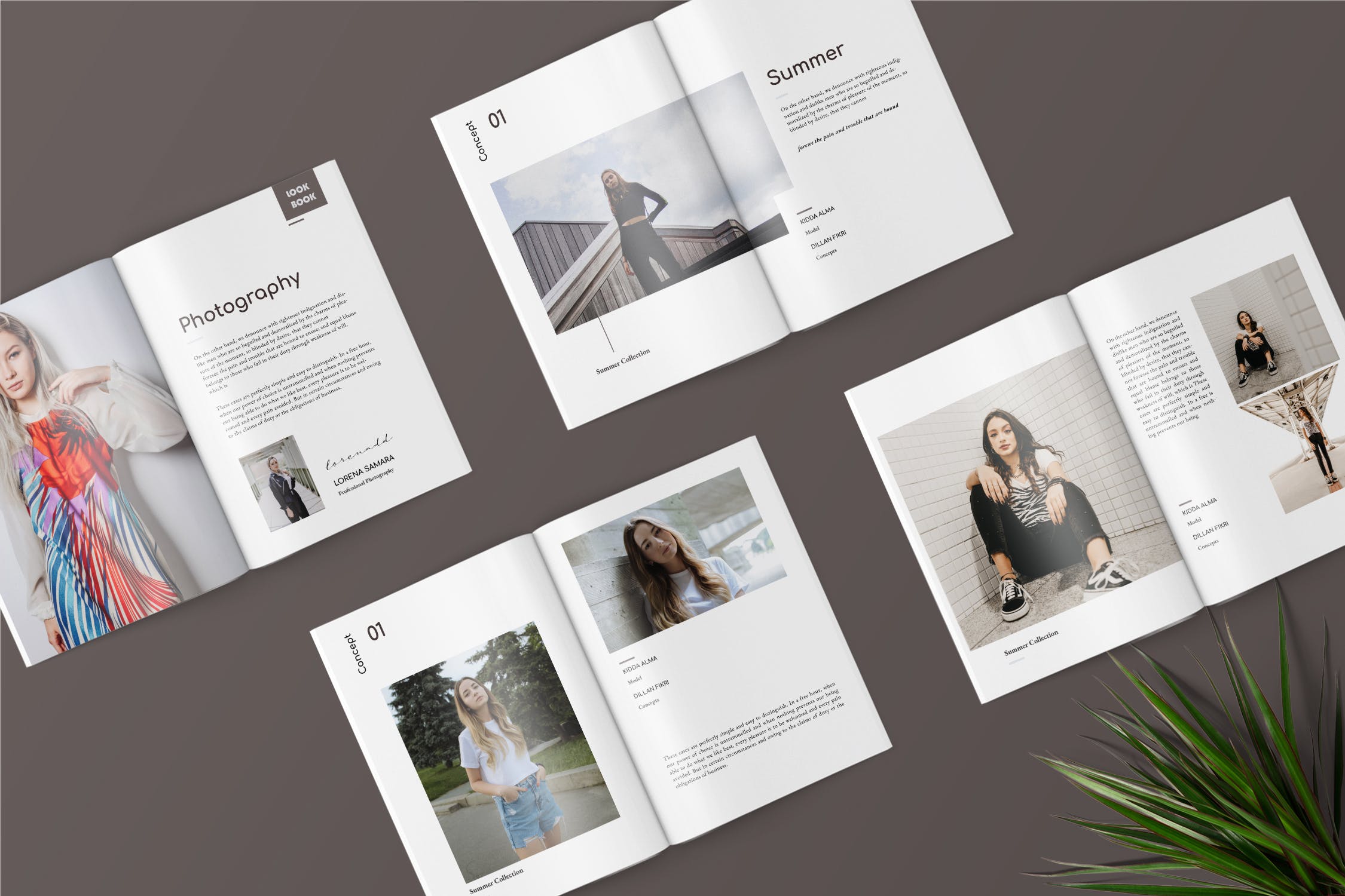 时尚服饰品牌产品画册/手册设计模板 Fashion Lookbook Catalogue插图(1)