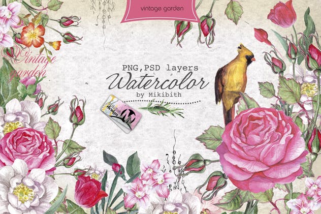 水彩花卉插画元素大合集 Watercolor Bundle over 120 PNG插图(6)