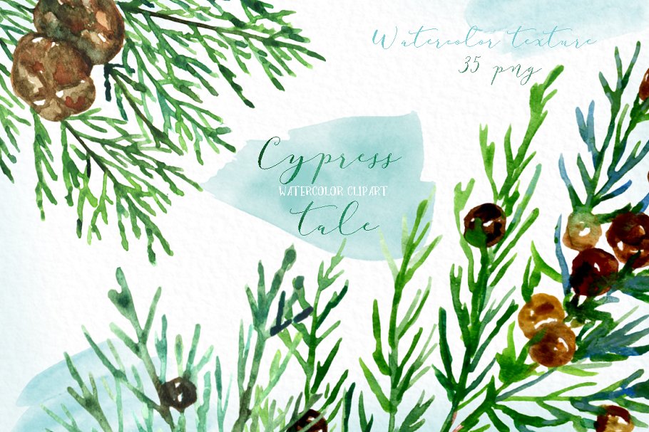 柏树水彩剪贴画 Cypress tale. Watercolor clipart插图(5)