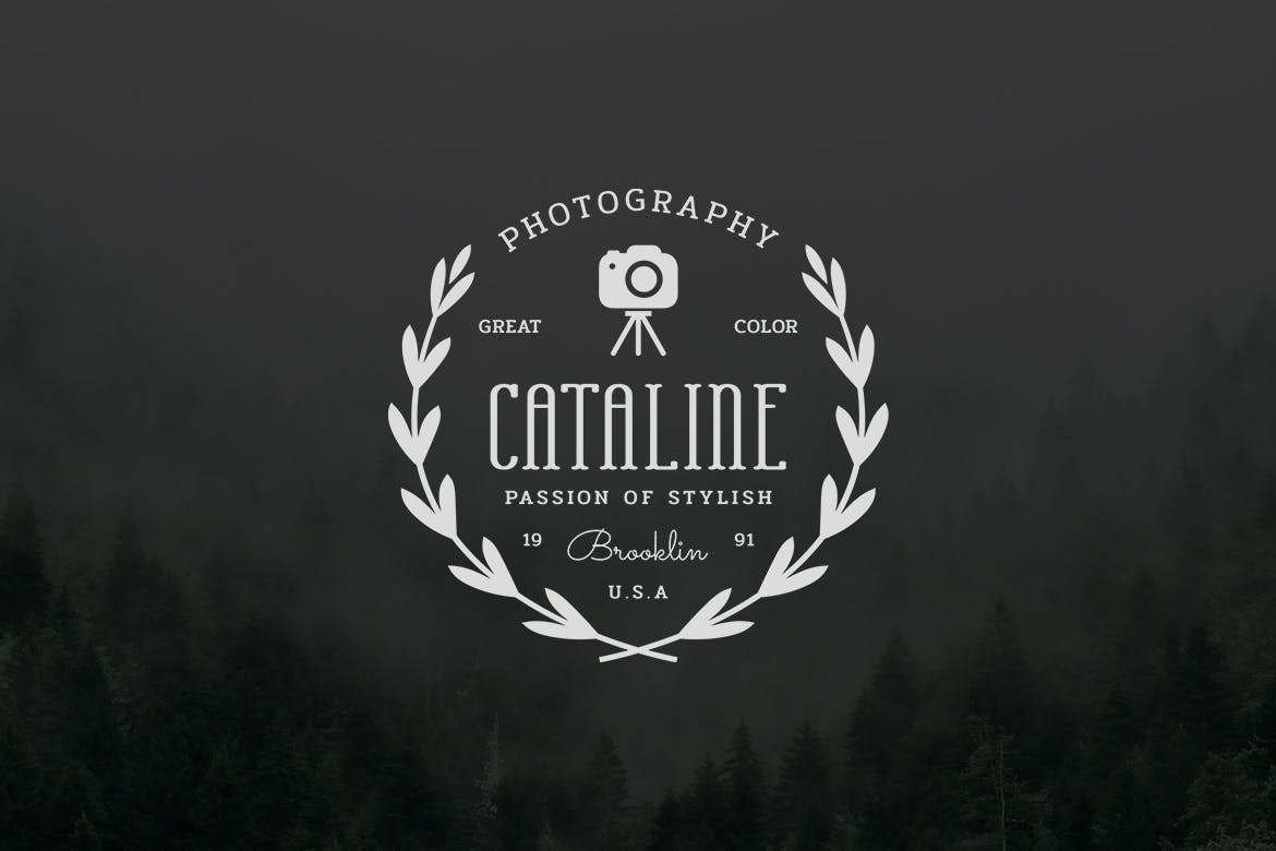 欧美复古设计风格品牌素材库精选LOGO商标模板v8 Vintage Logo & Badge Vol. 8插图(1)