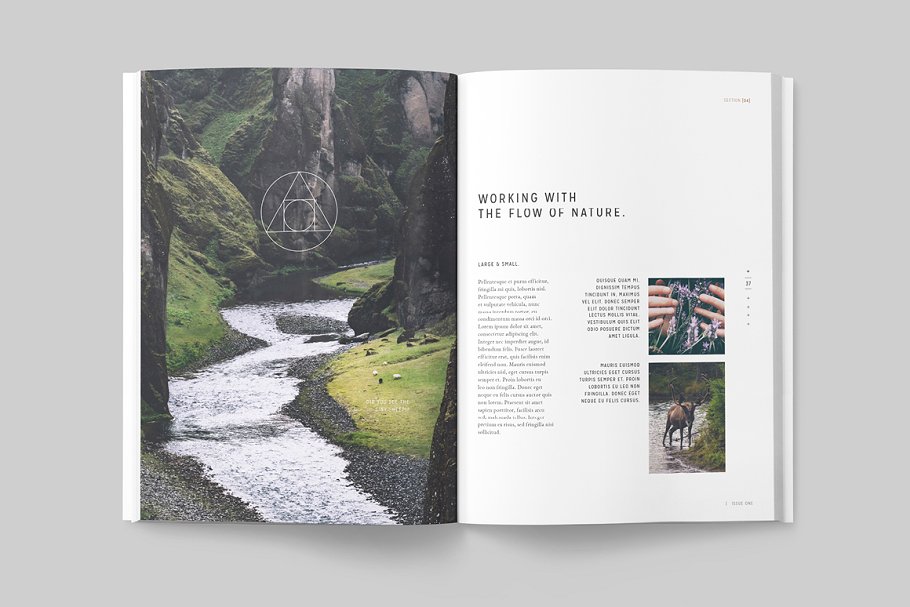 太空大自然主题杂志模板 LUMINA Magazine插图(18)