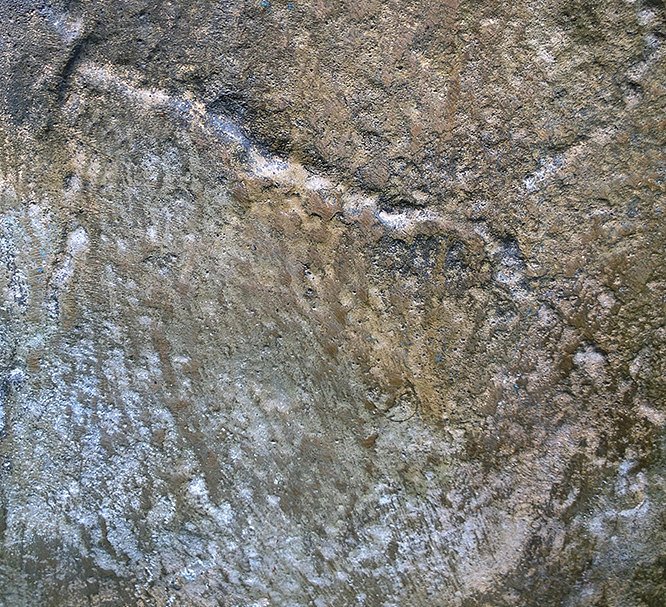 金色线条原始元素数字图形 The Golden Nile Patterns & Textures插图(5)