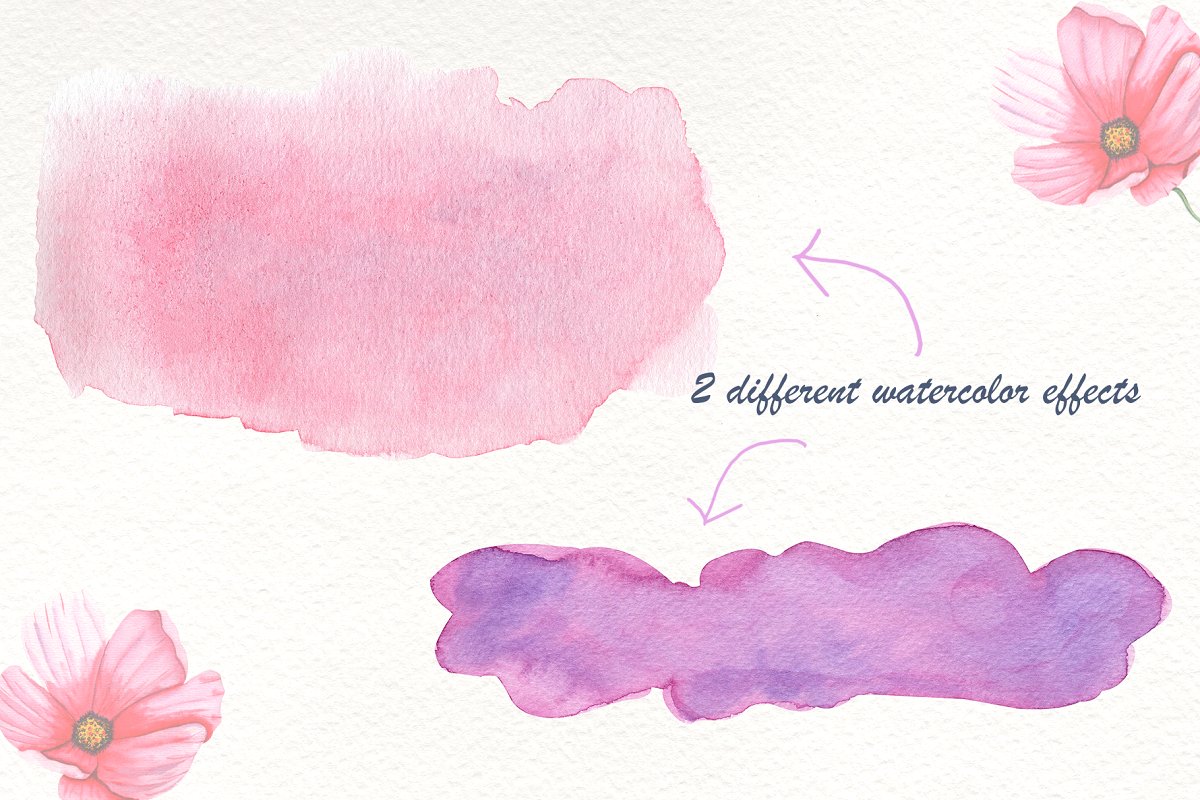 夏季花卉鸟儿水彩系列插画集插图(2)