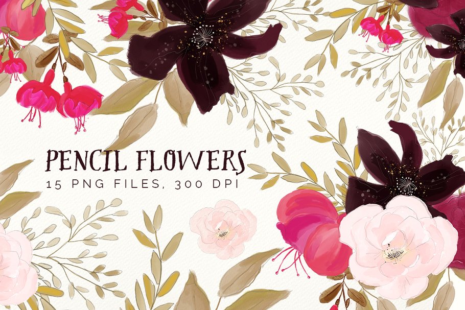 手绘花卉上色铅笔画 Pencil Flowers插图