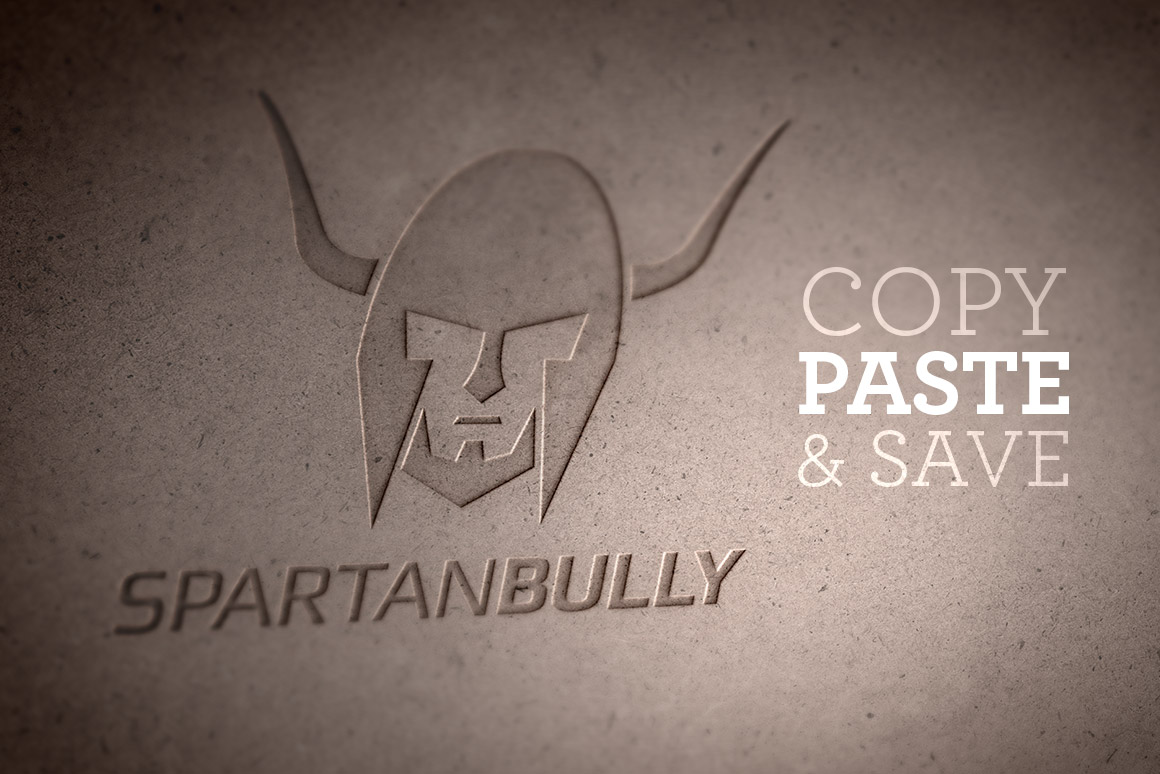 Logo 展示样机模版 Realistic Logo Mockups Volume 1插图(6)