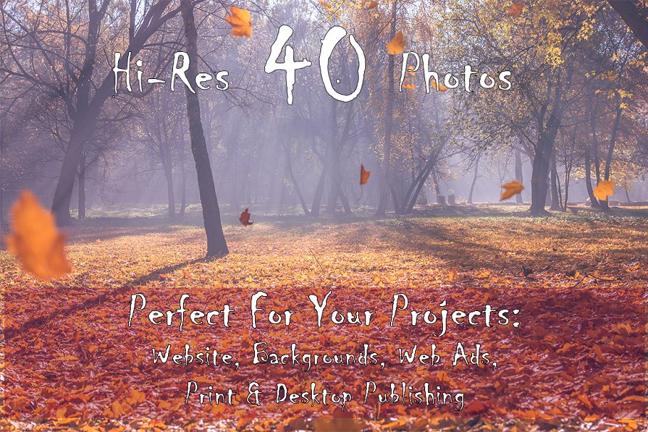 秋天主题高清照片素材 Autumn Photo Pack插图(2)