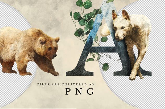 奇幻森林元素手绘插画元素合集 Forest Illustrations Graphics Kit插图(15)