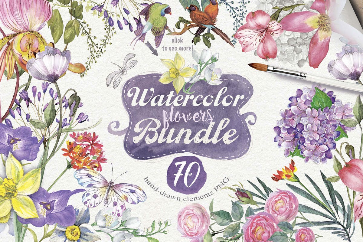 夏日花卉手绘水彩元素合集 70 SUMMER FLOWERS PNG插图