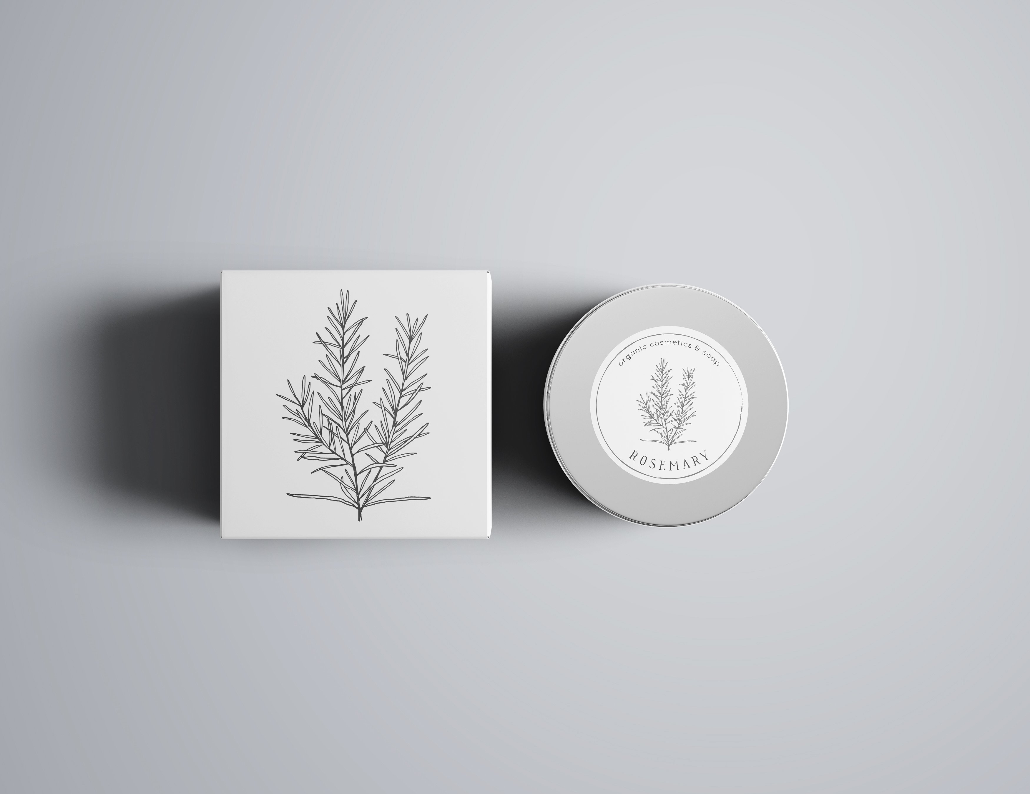 手绘植物矢量插图包插图(5)