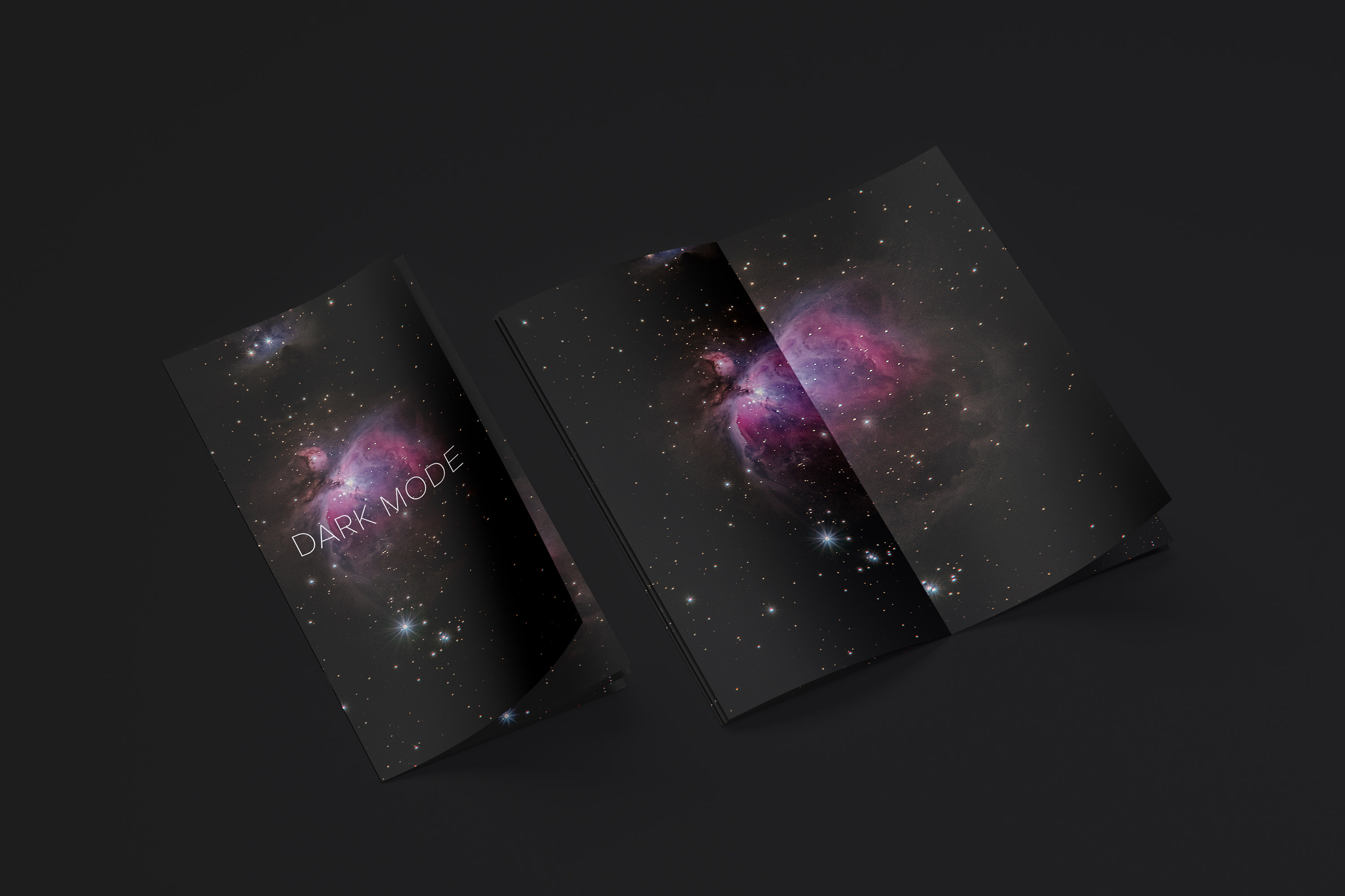 创意小册子折页传单设计图样机模板04 Thin Booklet Mockup 04插图(2)