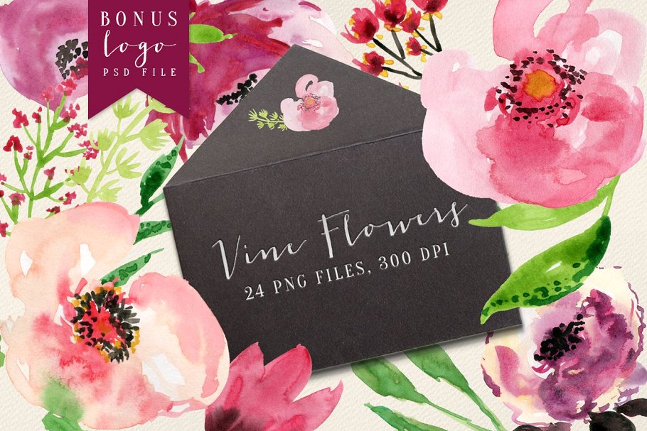 手绘水彩花卉植物图形元素 Vine Flowers插图