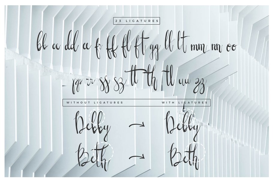 13款手写英文字体合集&Logo模板、矢量插画 Wonderland Fonts Pack & Branding Kit插图(80)