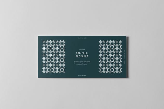 三折页长方形小册子样机 Tri-Fold DL Horizontal Brochure Mock-up插图(8)