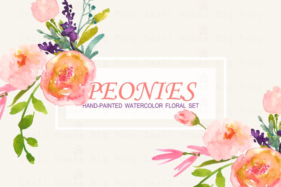 牡丹花水彩剪贴画 Peonies- Watercolor Clip Art Set插图(3)
