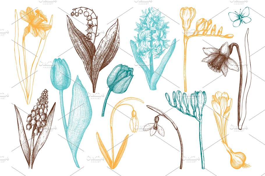 复活节和春天插画元素集 Easter & Spring Illustrations Set插图(2)