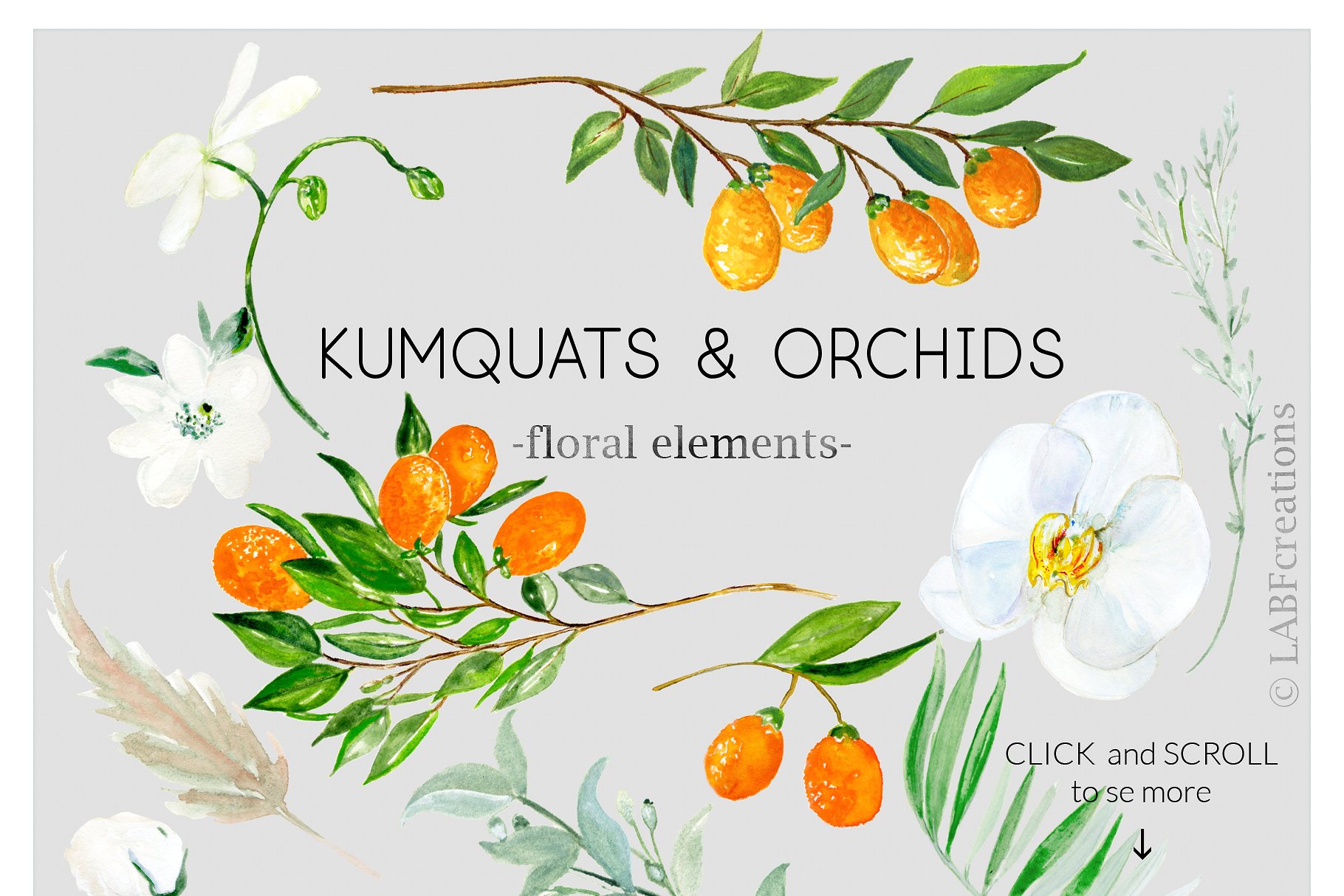 金橘和白色兰花手绘水彩画素材 Kumquat & white orchids. Watercolors插图(6)